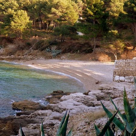 Guesthouse Torga 비스 외부 사진